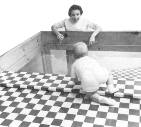 A baby on the "visual cliff" table described in the paragraph above, facing a grownup across the clear glass portion of the table.