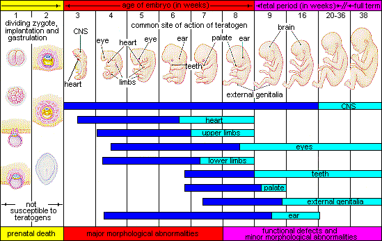 Image description link provided following the figure description