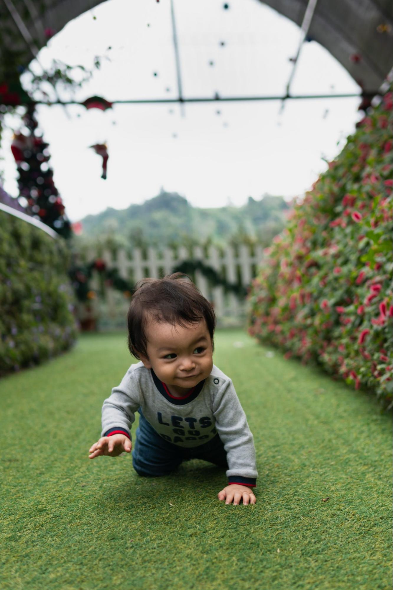 A toddler of Asian descent crawls on the grass