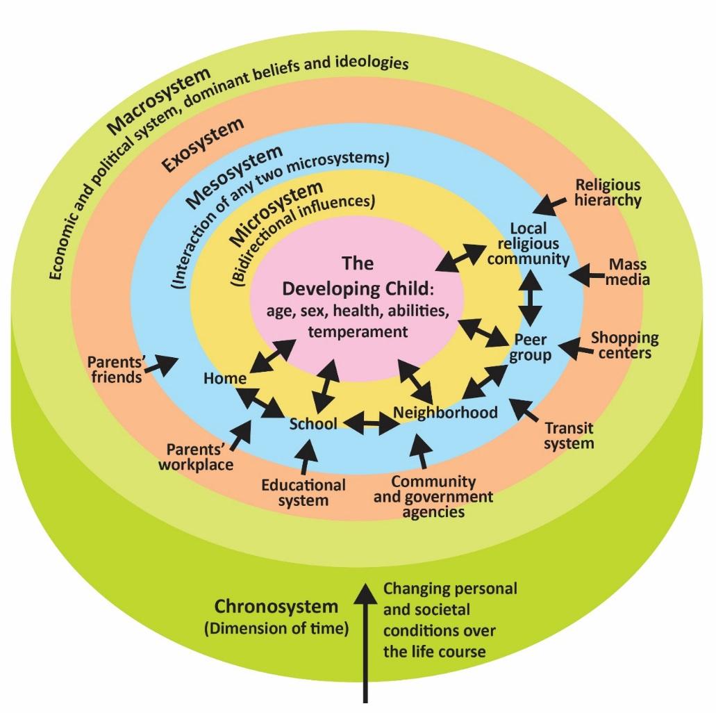 Image description linked after the figure description