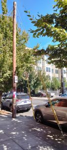 a photograph of the actual utility pole that is described in exercise 4