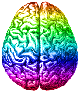 Colorful drawing of human brain