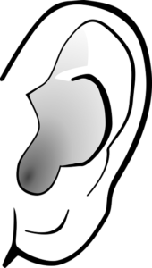 Ear