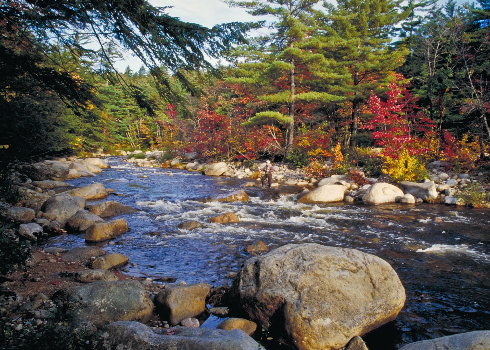 A peaceful rocky stream surrounded by trees of different colors