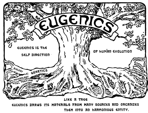 Black and white illustration of a tree. At the top near the branches it reads "Eugenics is the self direction of human evolution." The roots at the bottom all have various words like biology, medicine, politics, history, and more. At the bottom is the phrase, "Like a tree eugenics draws its materials from many sources and organizes them into an harmonious entity."