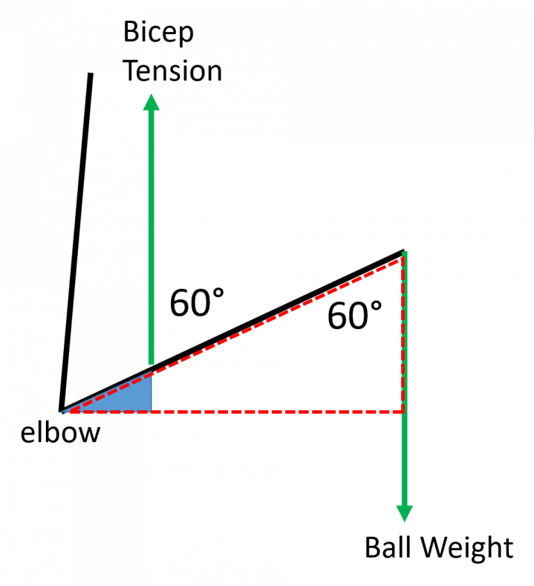 Body Levers Body Physics Motion to Metabolism
