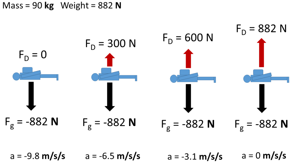 👍 What is the average terminal velocity of a skydiver. What is Free