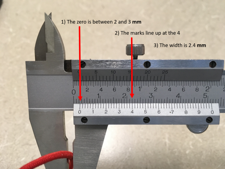 Lab 6 Modeling Tendon Elasticity (Distance Learning Compatible) Body