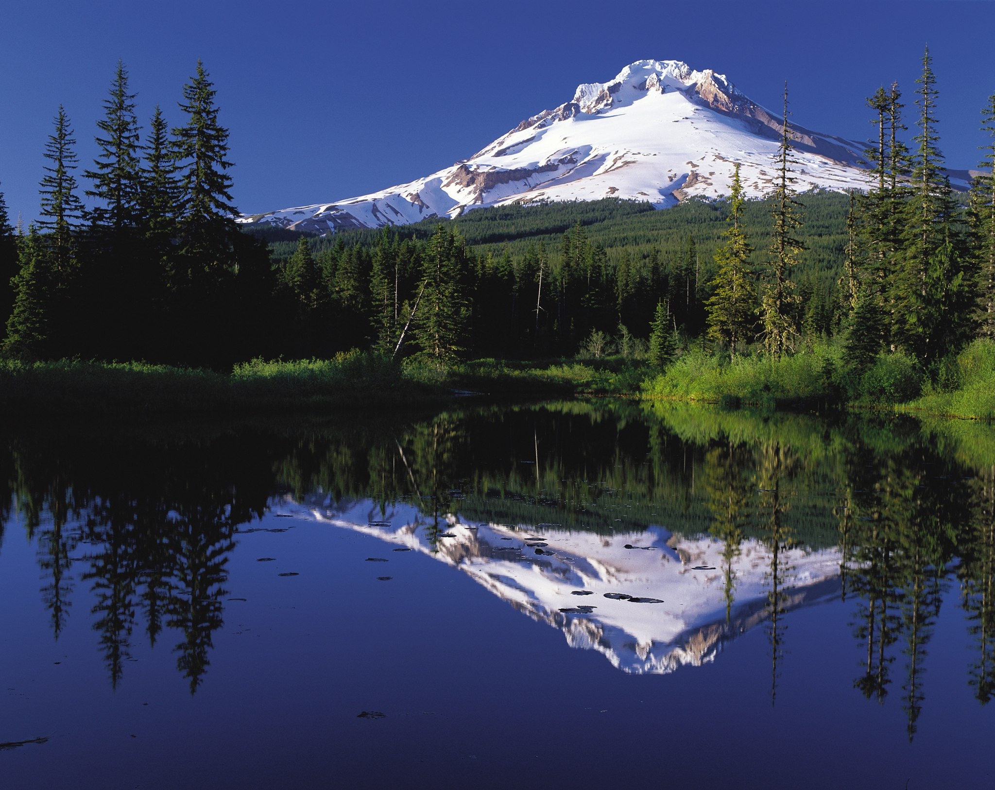 Mt. Hood Reflected in Mirror Lake