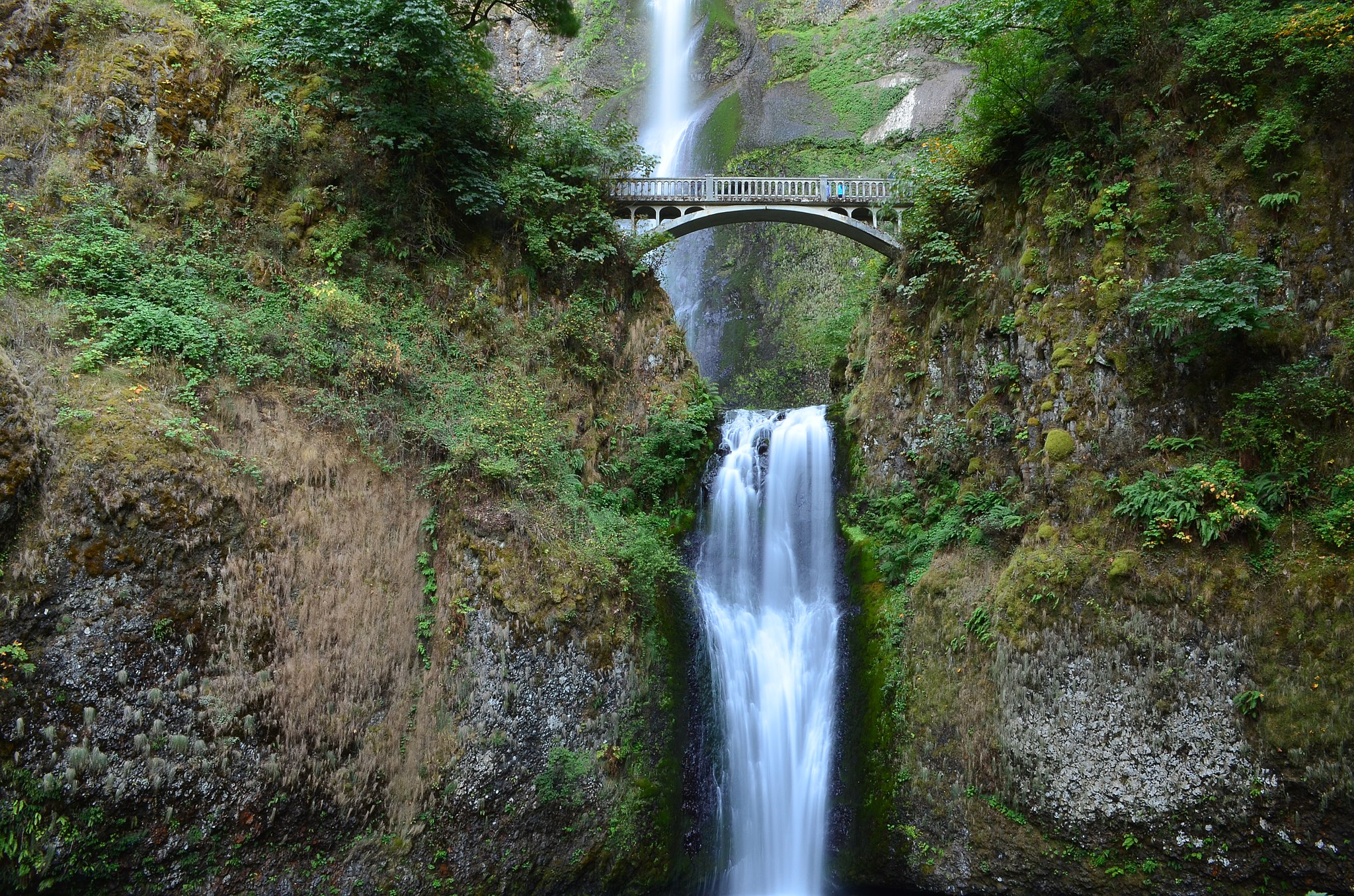 multnomah falls wallpaper