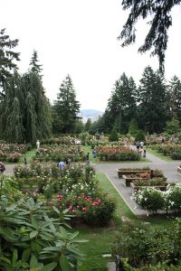 Portland International Rose Test Garden