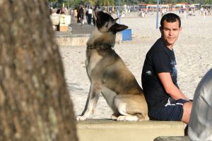 man with dog at beach