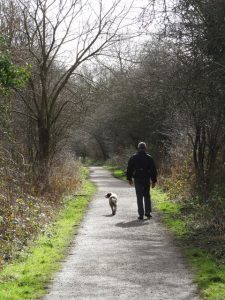 man walking with dog on a path in a park