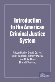 SOU-CCJ230 Introduction to the American Criminal Justice System book cover