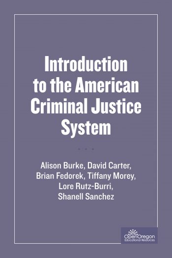 Cover image for SOU-CCJ230 Introduction to the American Criminal Justice System