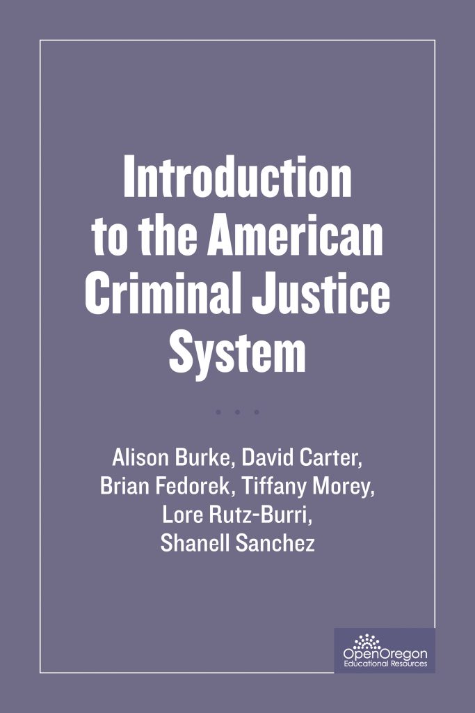 sou-ccj230-introduction-to-the-american-criminal-justice-system