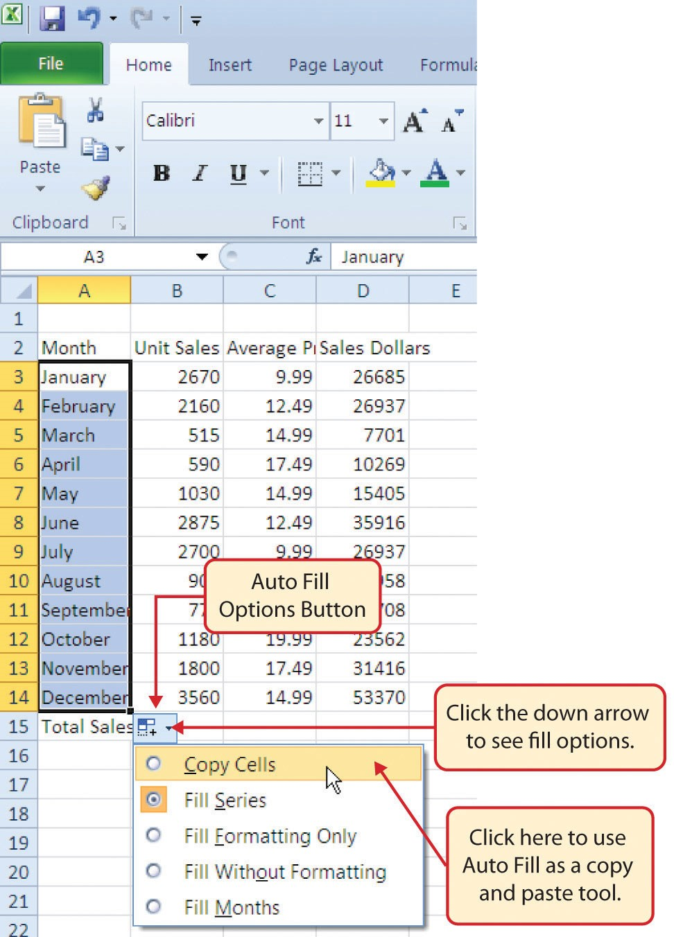 12 months appear in cell range A3:A14. Auto Fill Options Button includes Copy Cells, Fill Series, Fill Formatting Only, Fill Without Formatting and Fill Months.