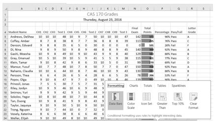 data bars conditional formatting excel 2016