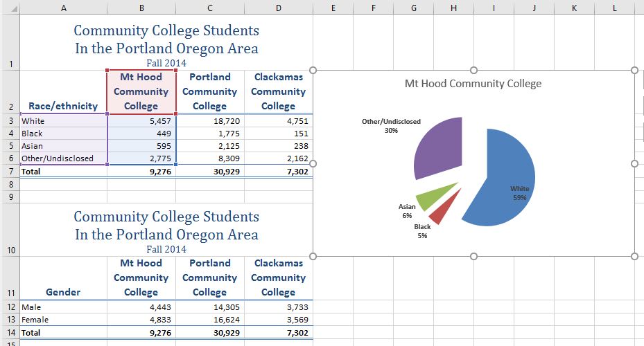 Final Enrollment Statistics Pie Chart shows largest number of enrolled students in Fall 2014 were White, second were Other/Undisclosed, third Asian, and smallest amount were Black.