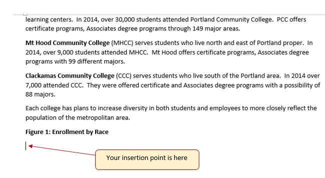 Insertion point is below "Figure 1: Enrollment by Race"