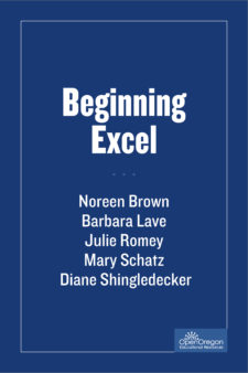 Beginning Excel, First Edition book cover