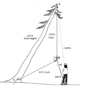 leaner1 – Forest Measurements: An Applied Approach