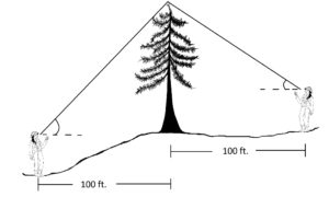 2.7 Field Technique Tips for Measuring Tree Height – Forest Measurements