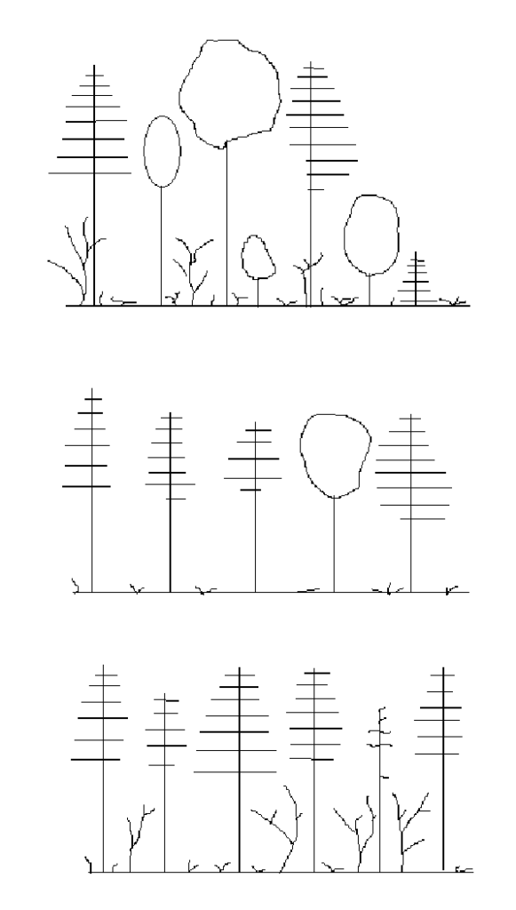 top illustration shows unevenaged stand; middle illustration shows equal crowns of evenaged stand; bottom illustration also shows evenaged stand - of single species