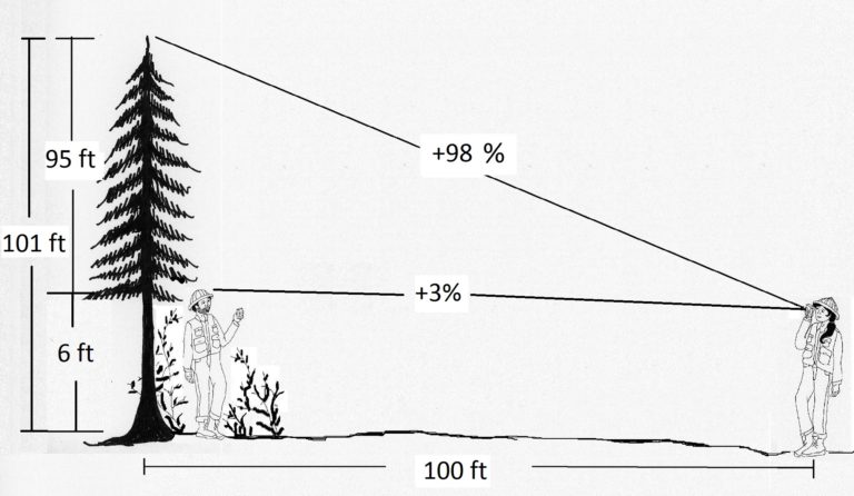 2.7 Field Technique Tips for Measuring Tree Height – Forest Measurements