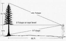 2.4 Using Topographic Slope to Determine Tree Height – Forest Measurements