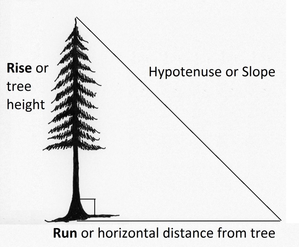 triangle showing tree height as rise and horizontal distance from tree as run