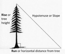 2.3 Using Percent Slope to Determine Tree Height – Forest Measurements