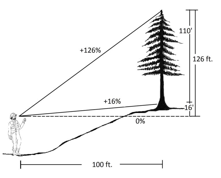 2.7 Field Technique Tips for Measuring Tree Height – Forest Measurements