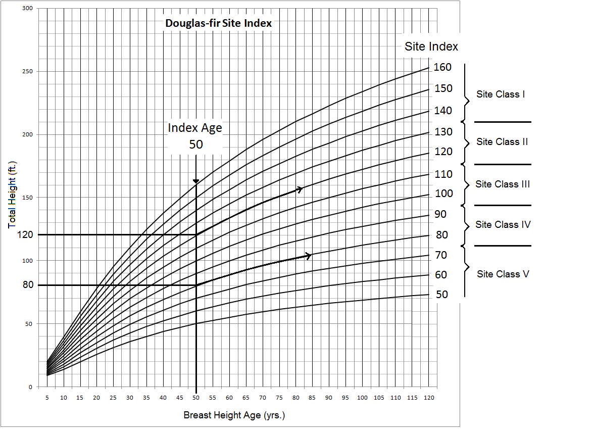 6.2 Overview of Site Index Forest Measurements