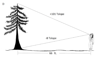 2.8 Summary Questions – Forest Measurements