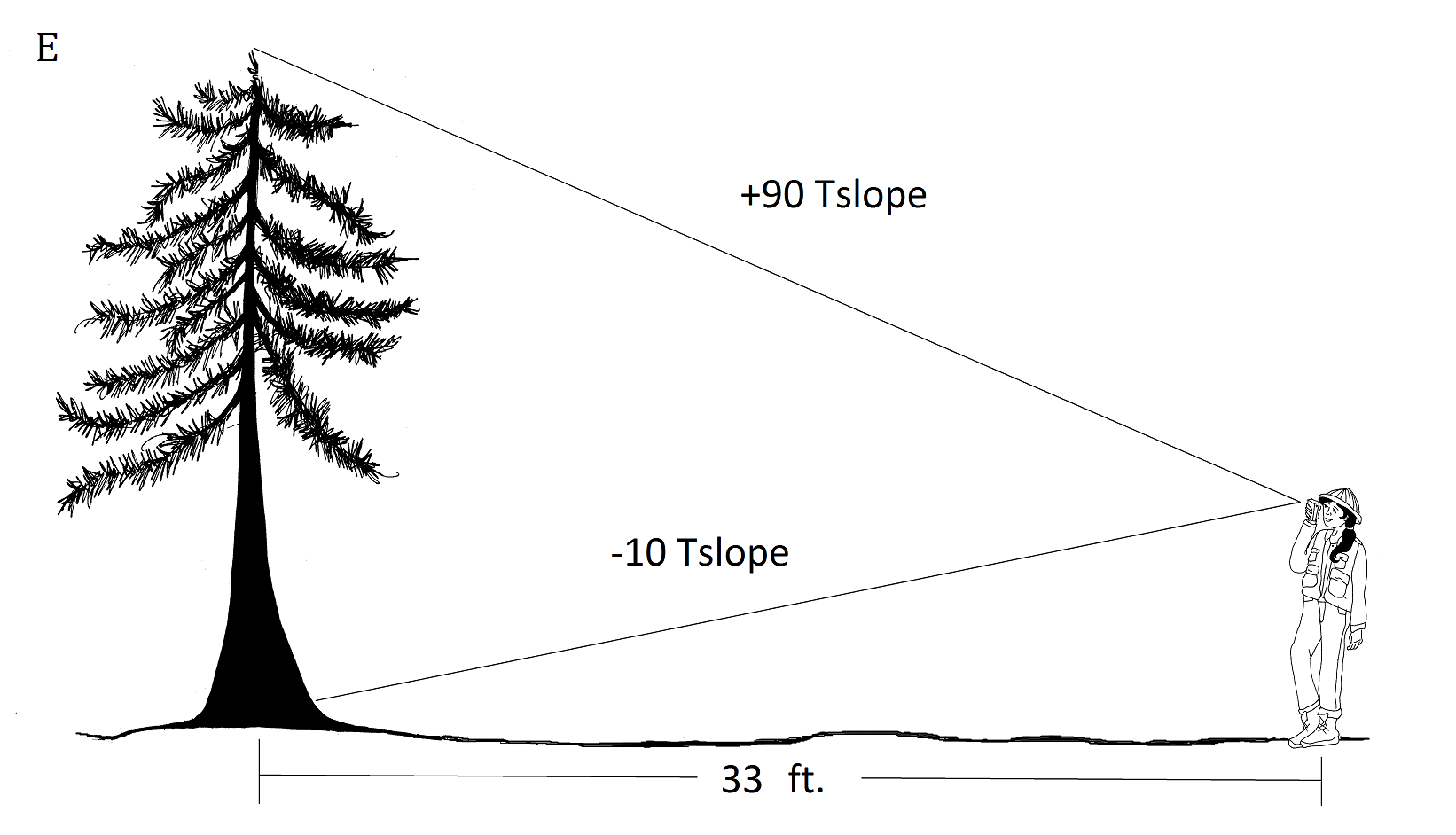 Максимальная глубина дерева. Высота дерева. Прибор для измерения высоты дерева. Измерение высоты дерева высотомером. Высота и глубина дерева.