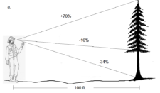 5.7 Summary Questions – Forest Measurements