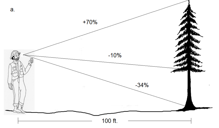 5.7 Summary Questions – Forest Measurements