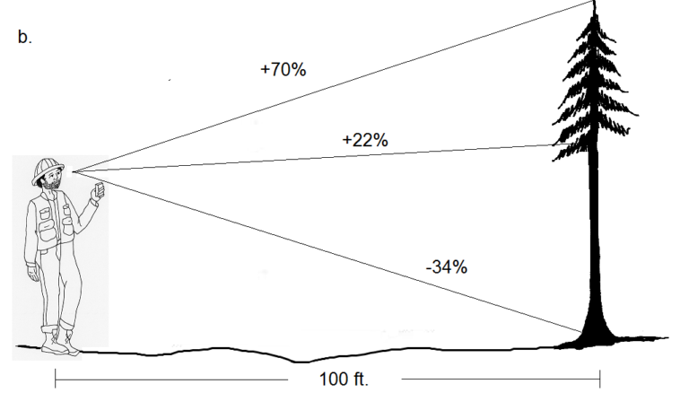 5.7 Summary Questions – Forest Measurements