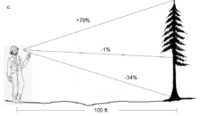 5.7 Summary Questions – Forest Measurements