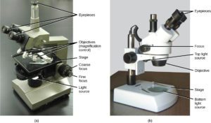 microscopes