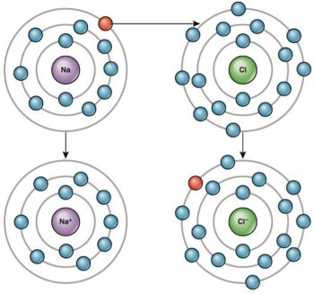 Chemical Bonds – MHCC Biology 112: Biology for Health Professions