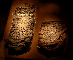 A pair of fort rock sandals, with the left one quite a bit bigger than the right.