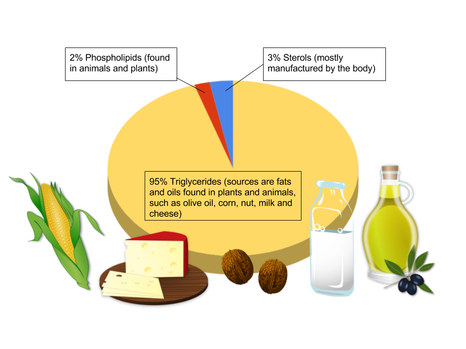 LIPIDS