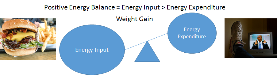 The energy balance: physical activity and food