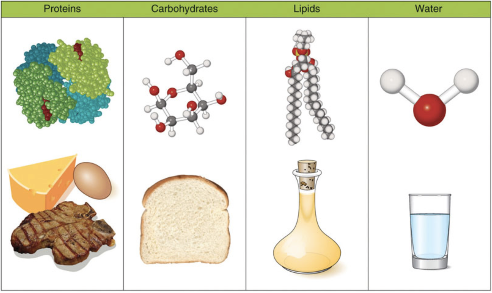 the-six-basic-nutrients-mindlor