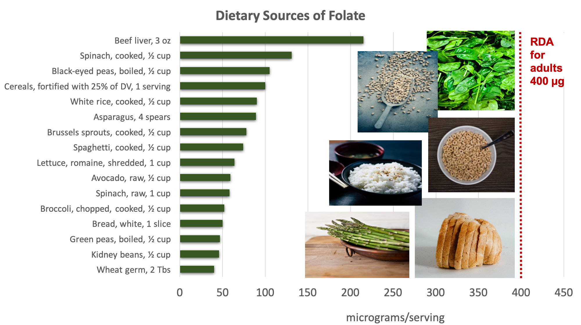 Energy metabolism and nutrient deficiencies